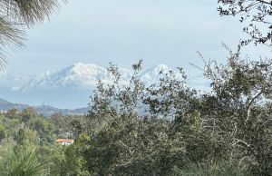 Hillcrest Park, Fullerton - snow-covered mountains
